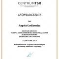 Powiększ obraz: certificate 2