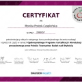 Powiększ obraz: certificate 3