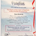 Powiększ obraz: certificate 2