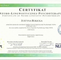 Powiększ obraz: certificate 3