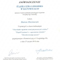 Powiększ obraz: certificate 3
