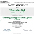 Powiększ obraz: certificate 7