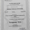 Powiększ obraz: certificate 4