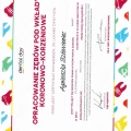 Powiększ obraz: certificate 13