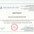 Powiększ obraz: certificate 25