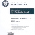 Powiększ obraz: certificate 4