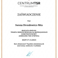Powiększ obraz: certificate 12