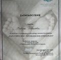 Powiększ obraz: certificate 5