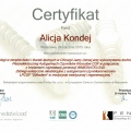 Powiększ obraz: certificate 20