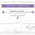 Powiększ obraz: certificate 6