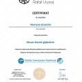 Powiększ obraz: certificate 1