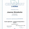 Powiększ obraz: certificate 2
