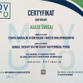 Powiększ obraz: certificate 1