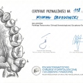Powiększ obraz: certificate 8