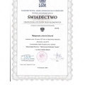 Powiększ obraz: certificate 1