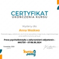 Powiększ obraz: certificate 4