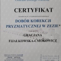 Powiększ obraz: certificate 1