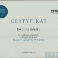 Powiększ obraz: certificate 13
