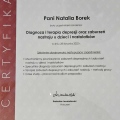 Powiększ obraz: certificate 8
