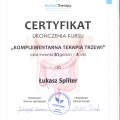Powiększ obraz: certificate 2