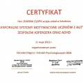Powiększ obraz: certificate 7