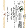 Powiększ obraz: certificate 11