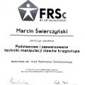 Powiększ obraz: certificate 8