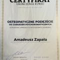 Powiększ obraz: certificate 25