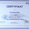 Powiększ obraz: certificate 16