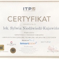 Powiększ obraz: certificate 5