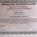Powiększ obraz: certificate 8