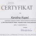 Powiększ obraz: certificate 4