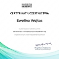 Powiększ obraz: certificate 10