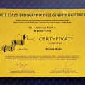 Powiększ obraz: certificate 3