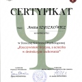 Powiększ obraz: certificate 10