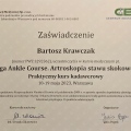 Powiększ obraz: certificate 3