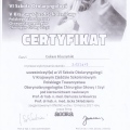 Powiększ obraz: certificate 17