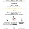 Powiększ obraz: certificate 9