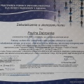 Powiększ obraz: certificate 10