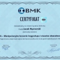 Powiększ obraz: certificate 9
