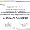 Powiększ obraz: certificate 10
