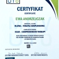 Powiększ obraz: certificate 12