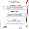Powiększ obraz: certificate 1