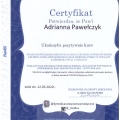 Powiększ obraz: certificate 2