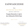 Powiększ obraz: certificate 14
