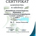 Powiększ obraz: certificate 4