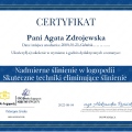 Powiększ obraz: certificate 2