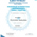 Powiększ obraz: certificate 7