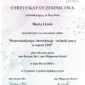 Powiększ obraz: certificate 6
