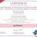 Powiększ obraz: certificate 3